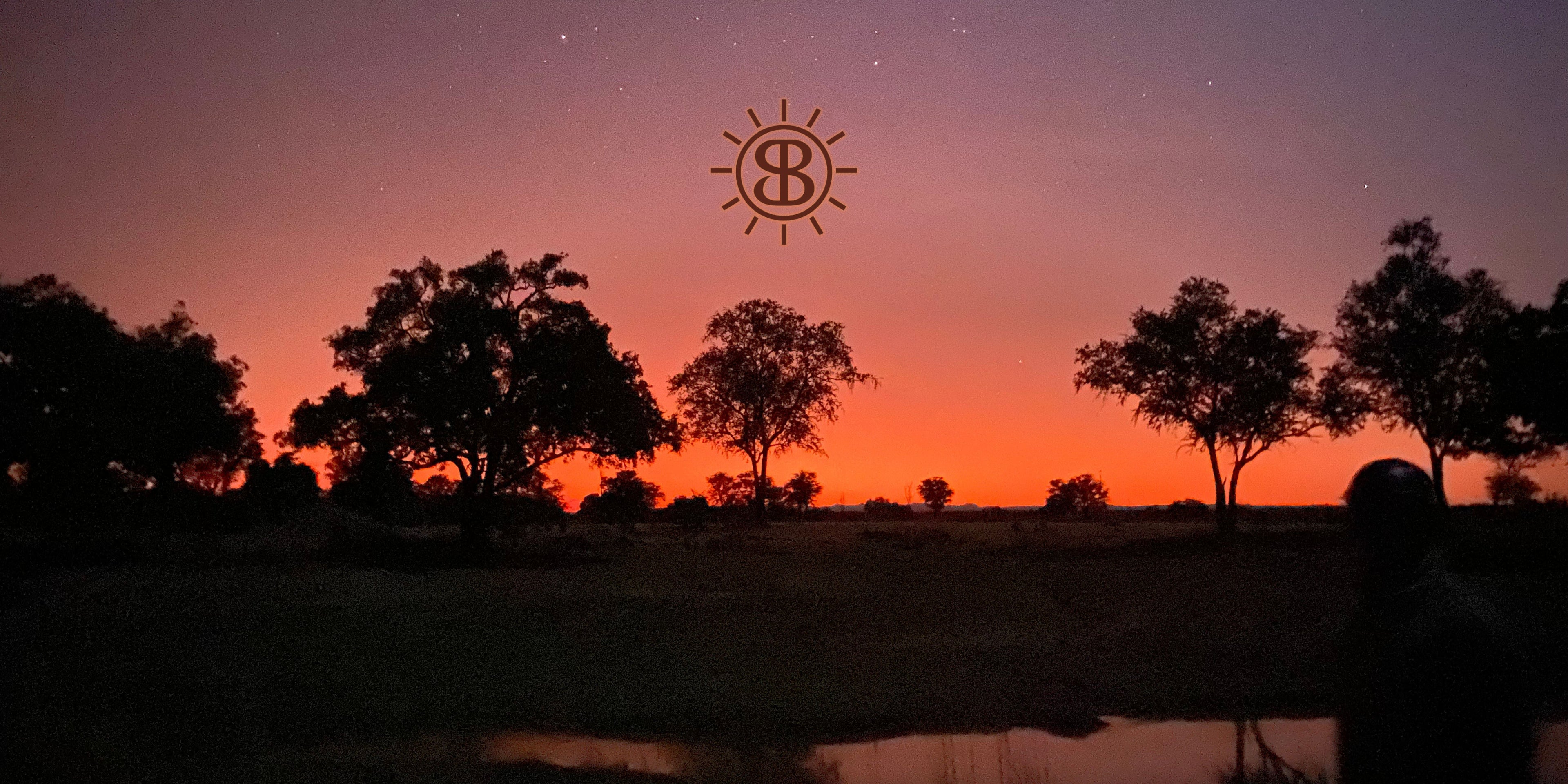 The Birth of Safari Oil